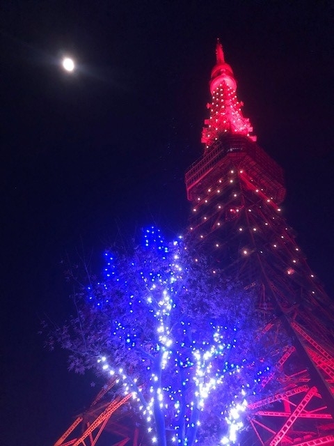 東京タワーー